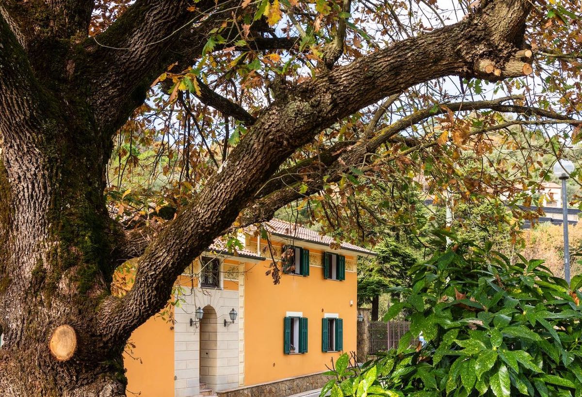 APPARTAMENTI
