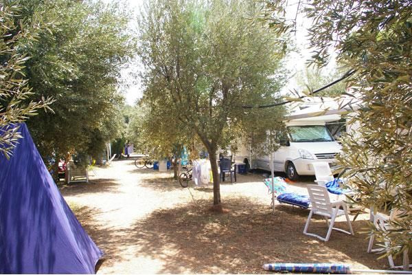 Camping Magna Grecia - 89062 Lazzaro (Reggio Calabria)