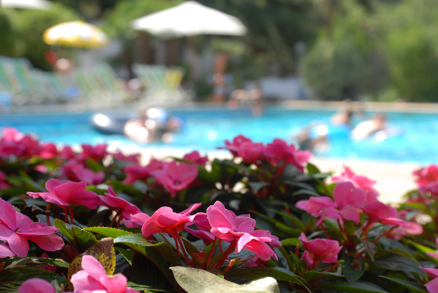 Un nuovo modello di borgo turistico in Liguria: Il Camping Delle Rose di Isolabona rilancia la vacanza naturale